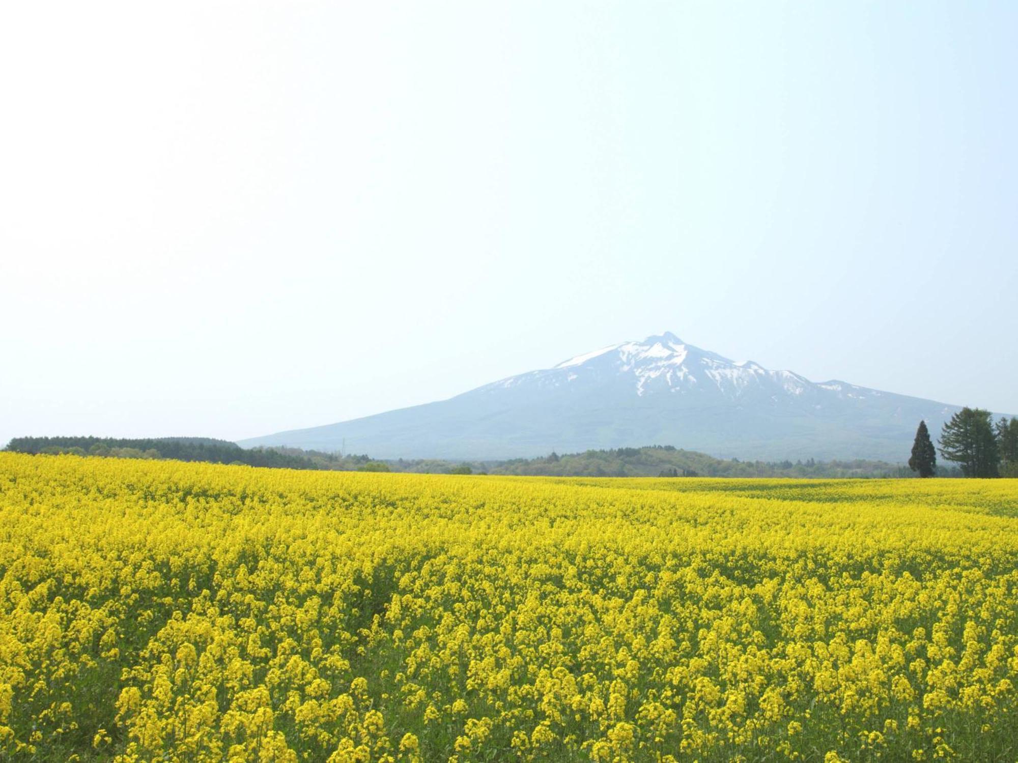 Apa Hotel Aomori Ekihigashi Ngoại thất bức ảnh